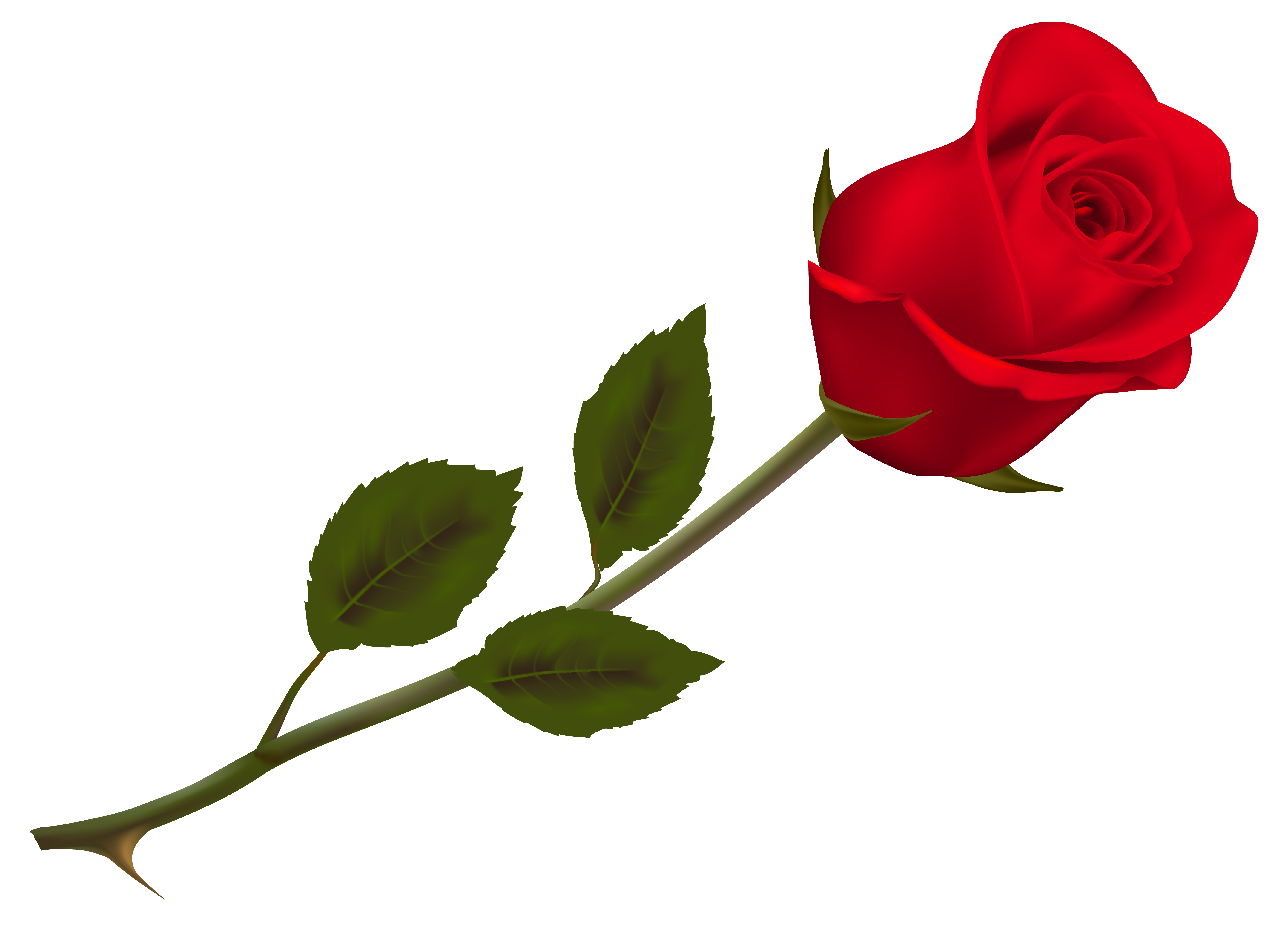 rose-png