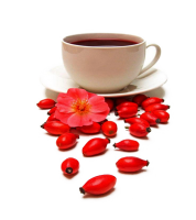 Rose hip and cup PNG