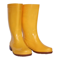 Rubber boots PNG picture