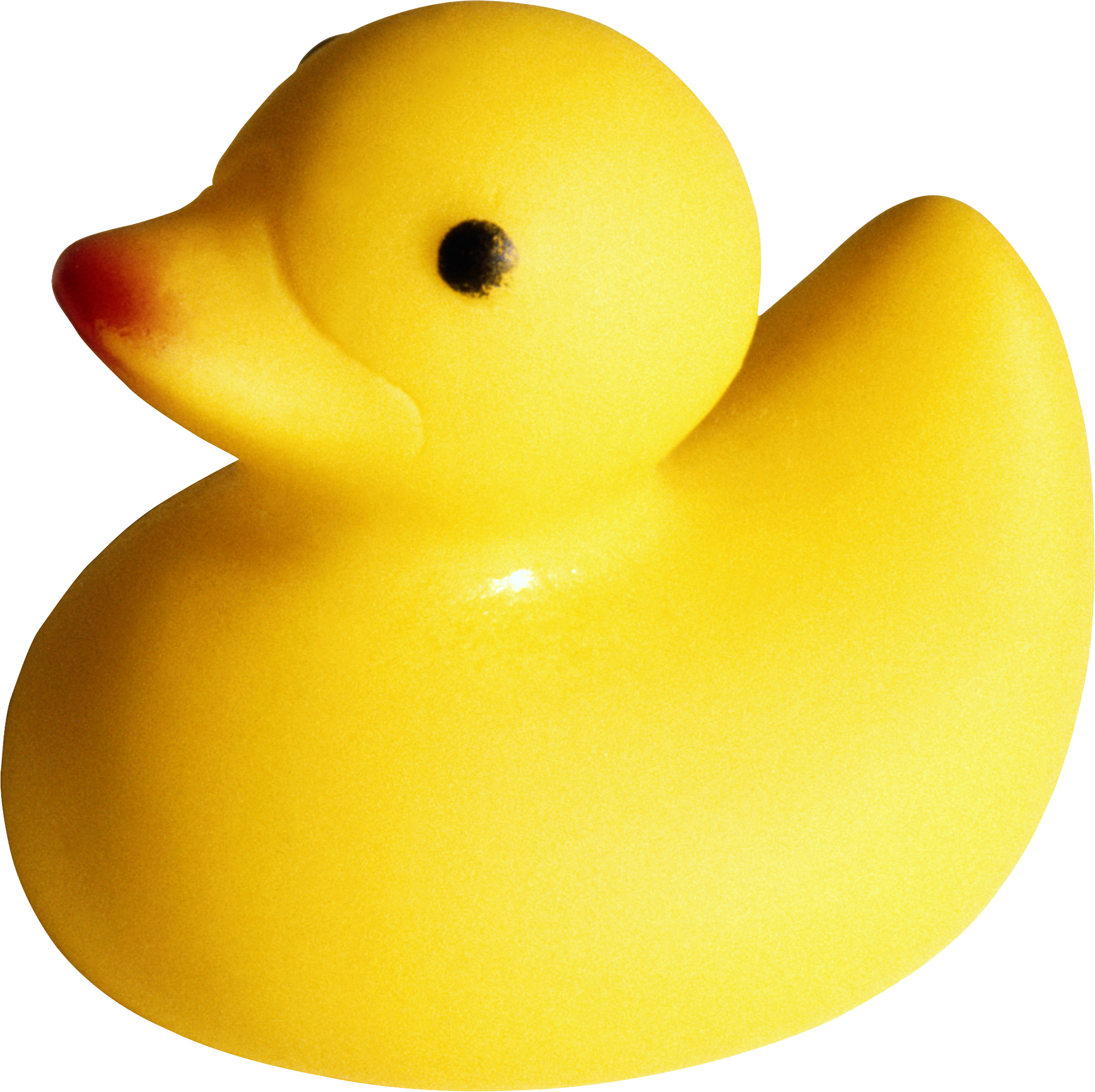 Rubber duck PNG