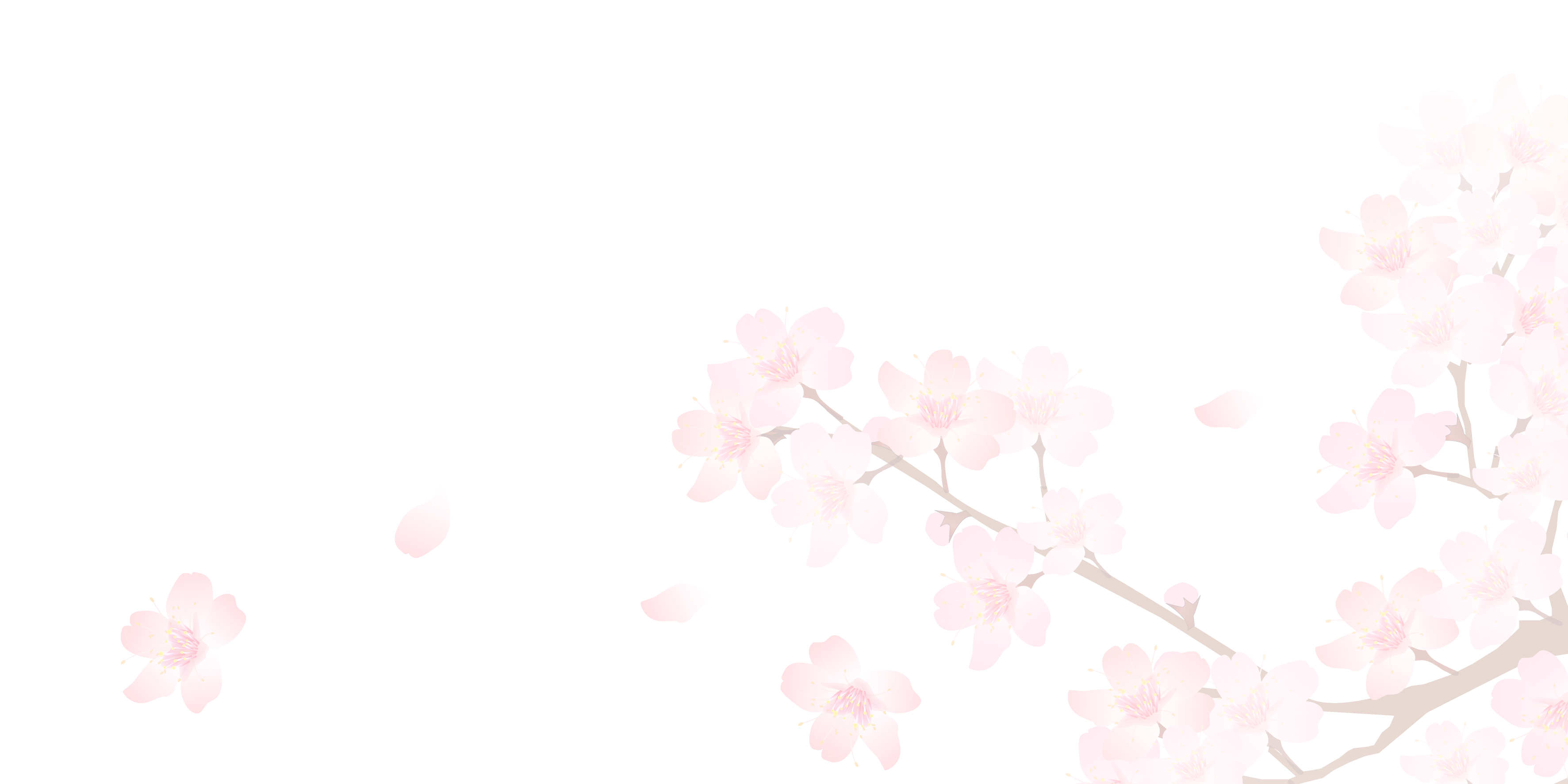 Sakura PNG