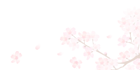 Sakura PNG
