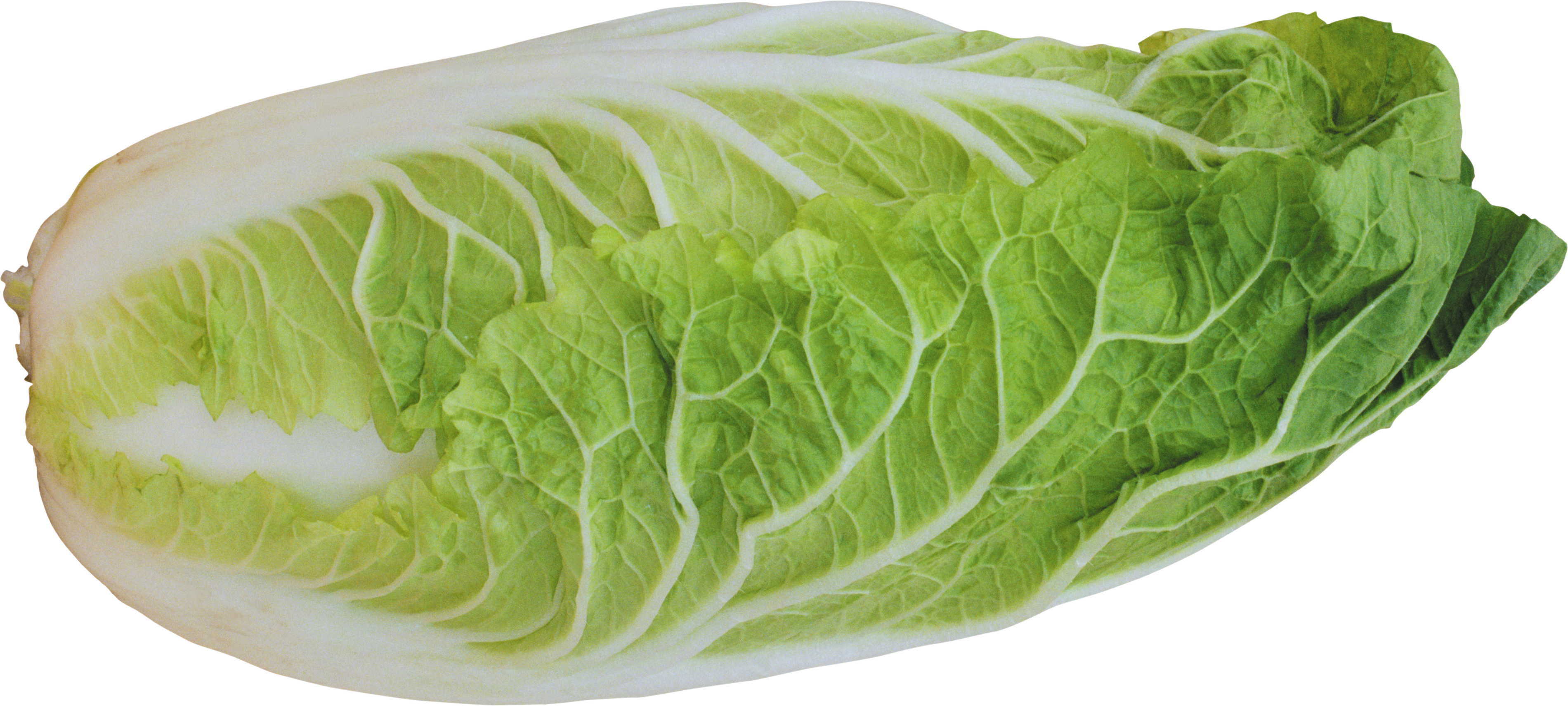 Ensalada PNG