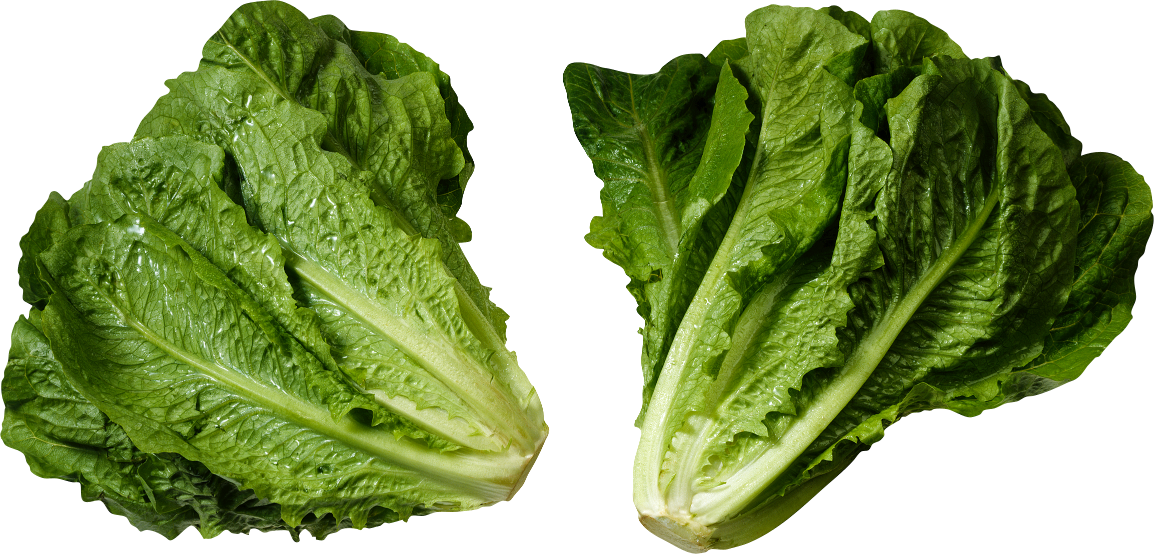 Ensalada PNG