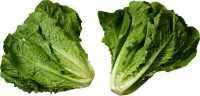 Green salad PNG image