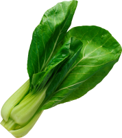 Зеленый салат PNG фото
