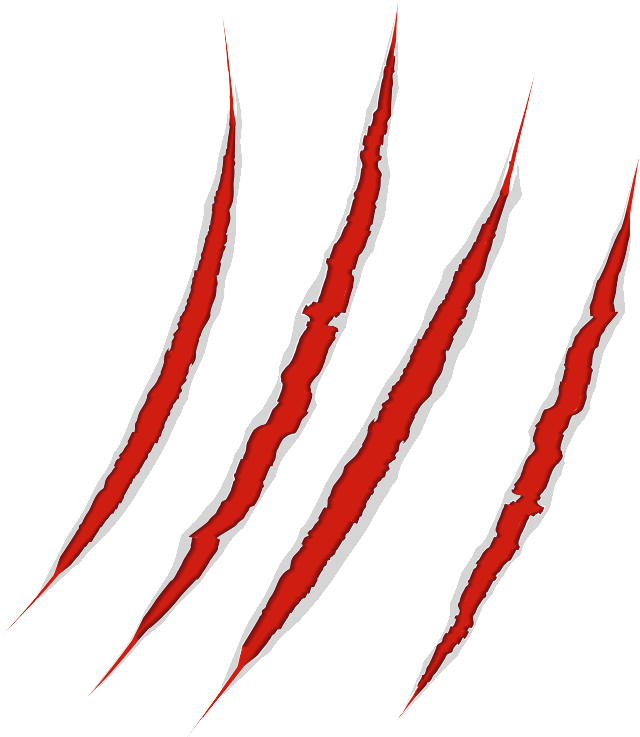 Scratches claw PNG image