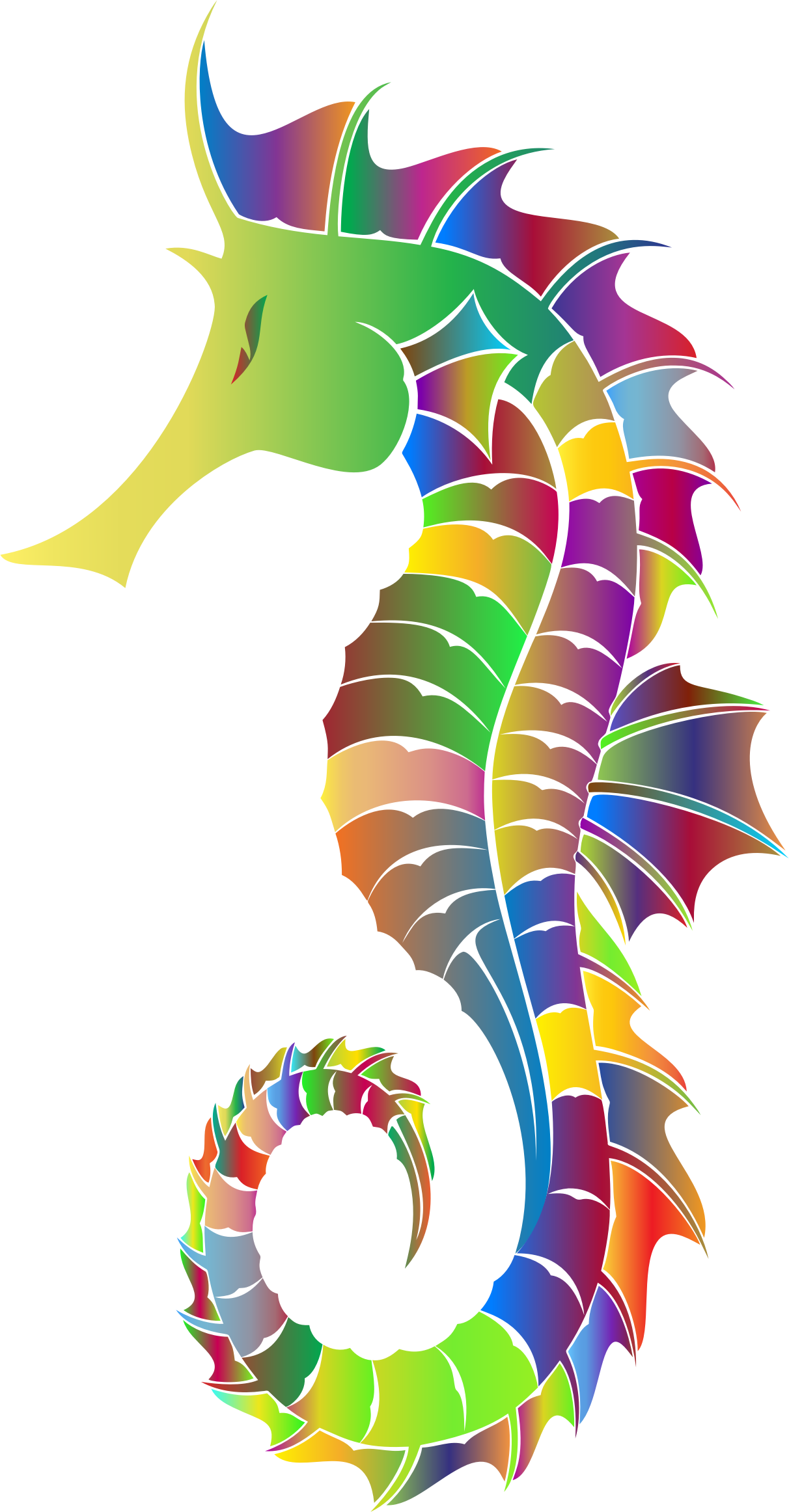 Seahorse PNG