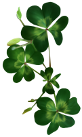 Trifolium PNG