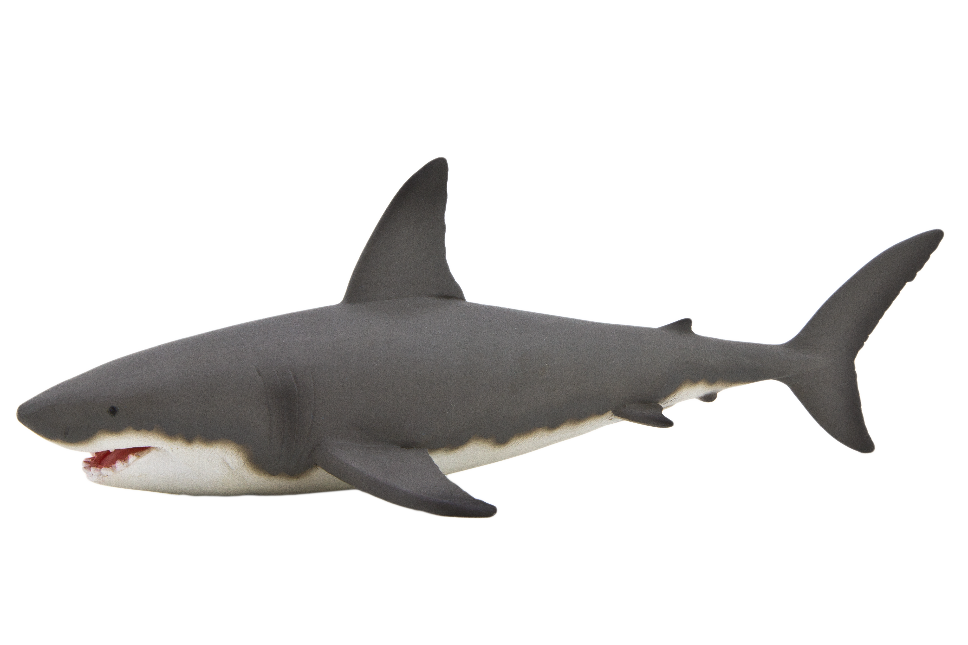 Shark PNG