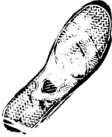 Shoeprint PNG
