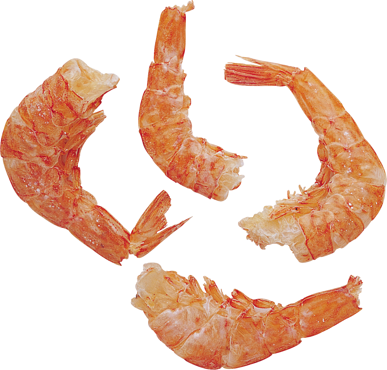 Clean shrimps PNG image