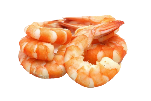 Shrimps food PNG image