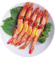 Shrimps PNG image