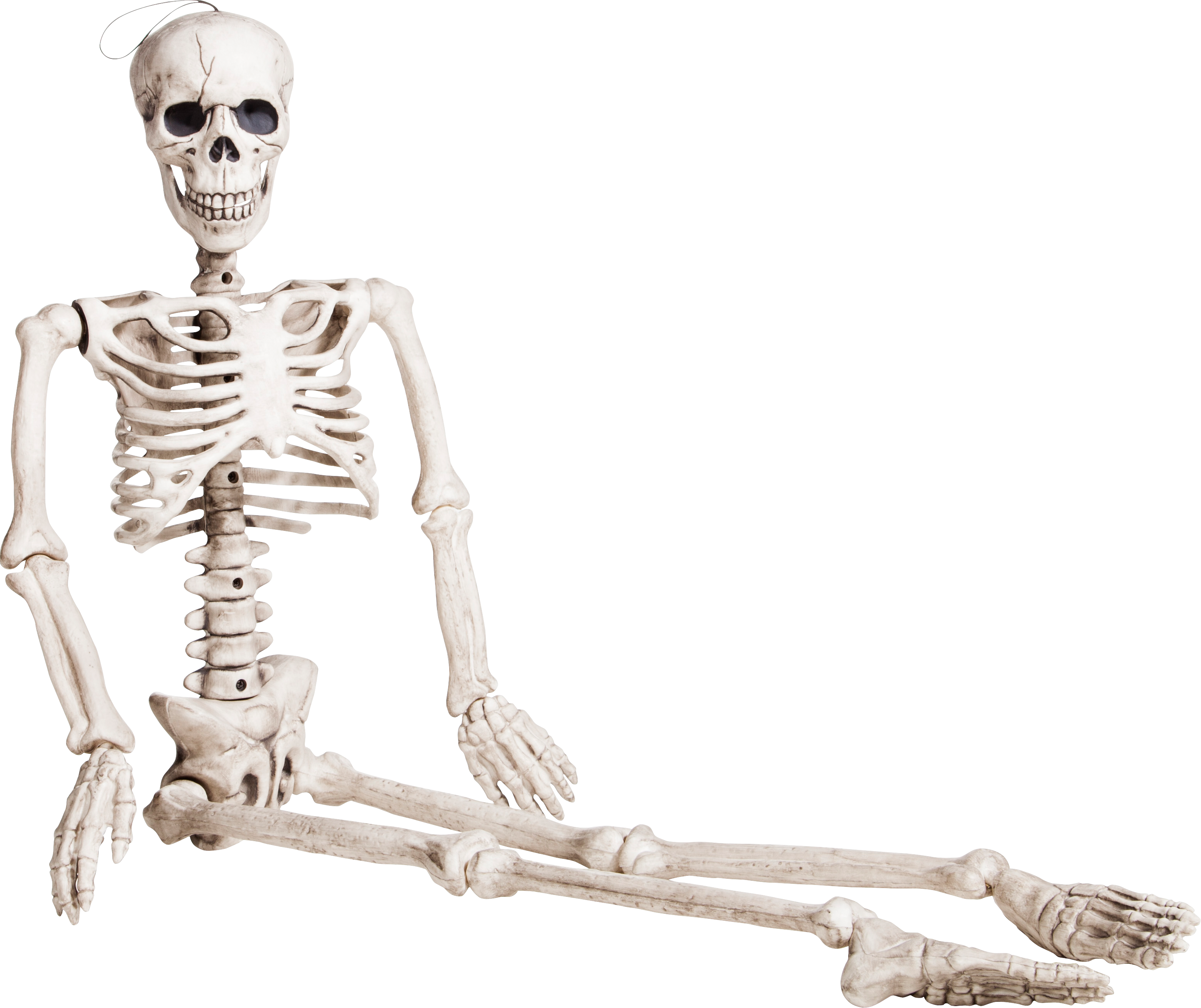 Skeleton Back Png