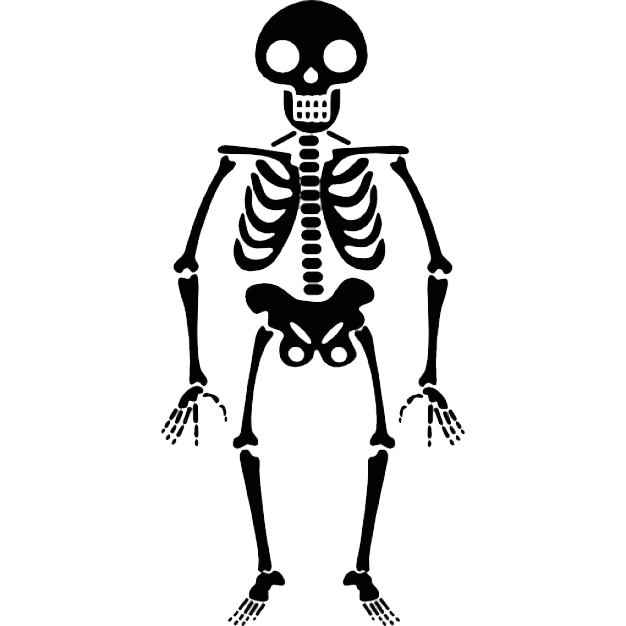 Skeleton Png Transparent Image Download Size 626x626px
