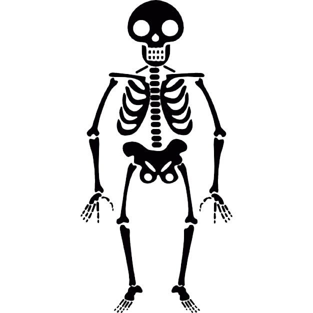 skeleton