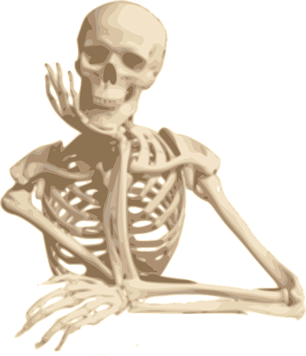 Skeleton Png Transparent Image Download Size 618x720px