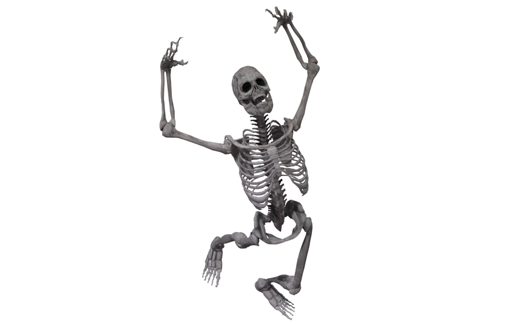 Облегченный скелет. Скелет на белом фоне. Скелет на прозрачном фоне. Скелет без фона. Скелет для фотошопа.