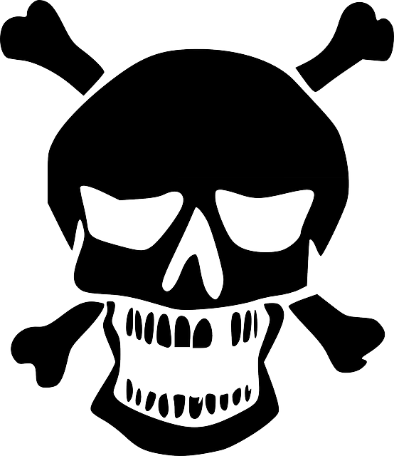 Featured image of post Cool Skull Logo Transparent - Skull tattoo png transparent images png.