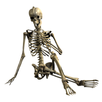 Esqueleto PNG