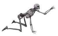 Скелет PNG