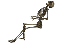 Skeleton PNG image