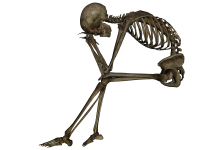Скелет PNG фото