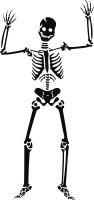 Skeleton siluet PNG image