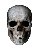 Skull PNG image