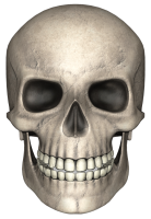 Cráneo PNG