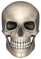 Skull PNG
