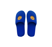 blue Slippers PNG
