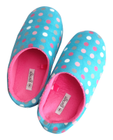 Slippers PNG image
