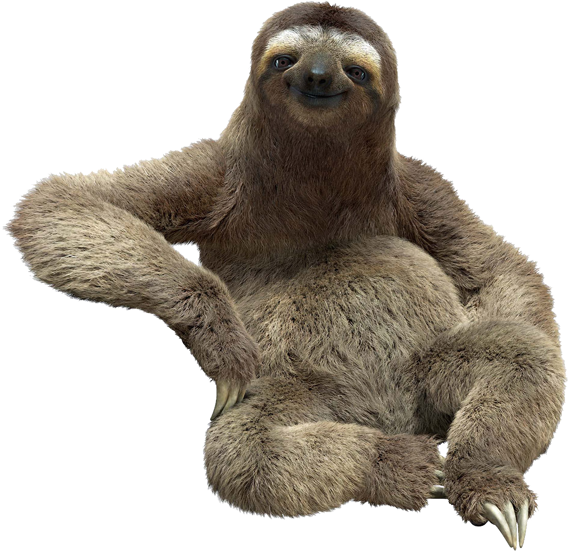 sloth-png