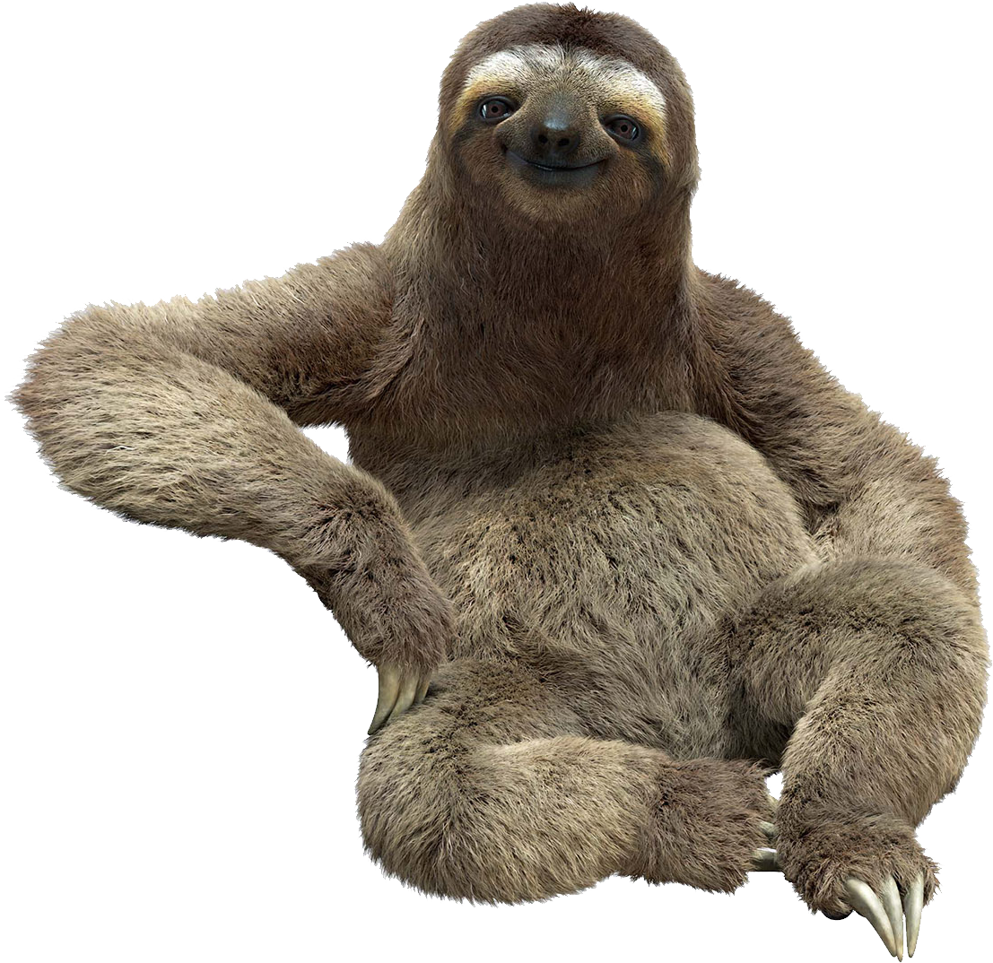 Sloth PNG