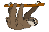 Sloth PNG