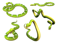 Змея PNG фото