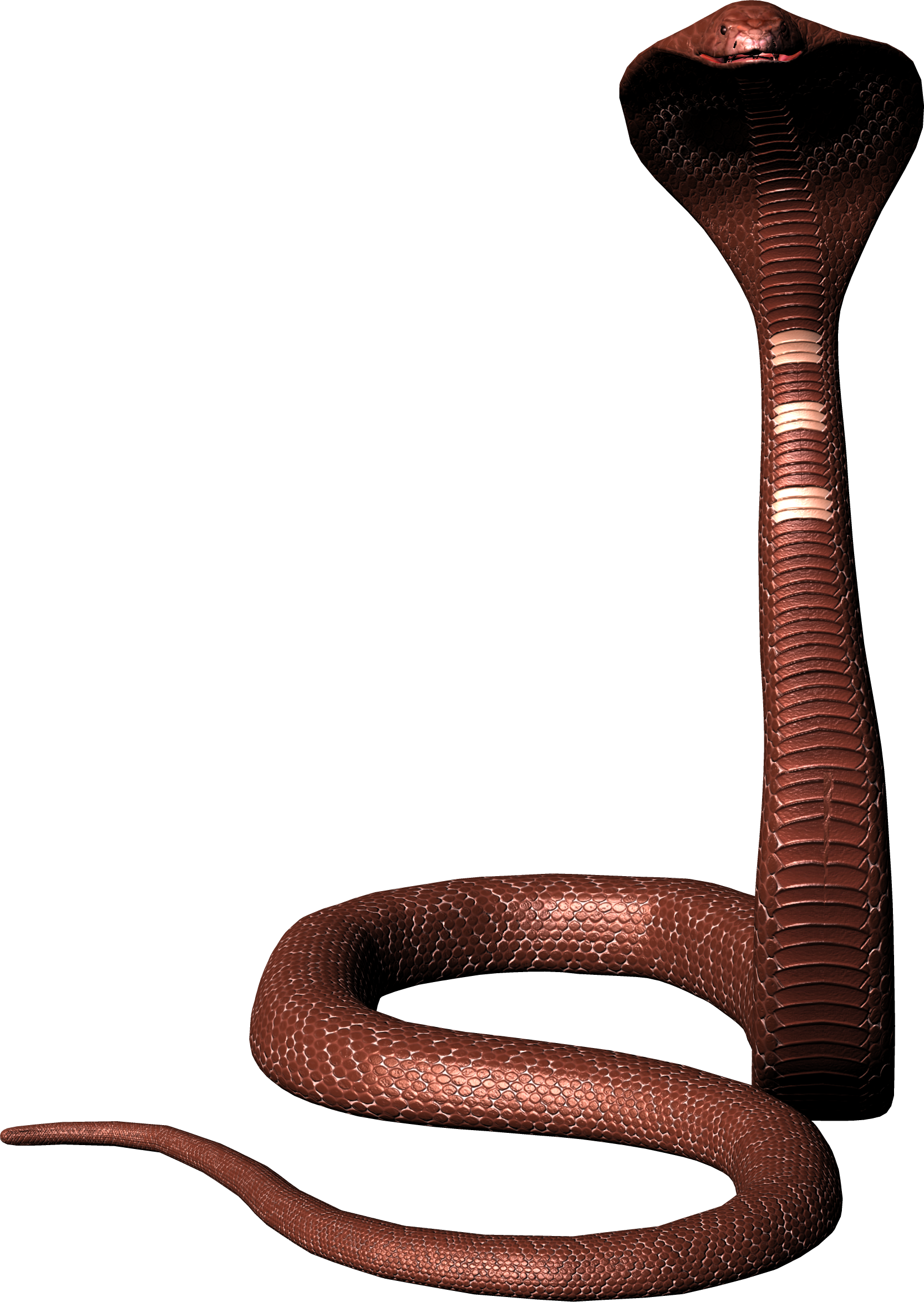 Змея кобра PNG фото