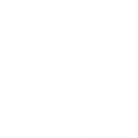 Snowflake PNG image