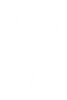 White snowflake PNG image