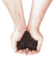 Soil in hands PNG 