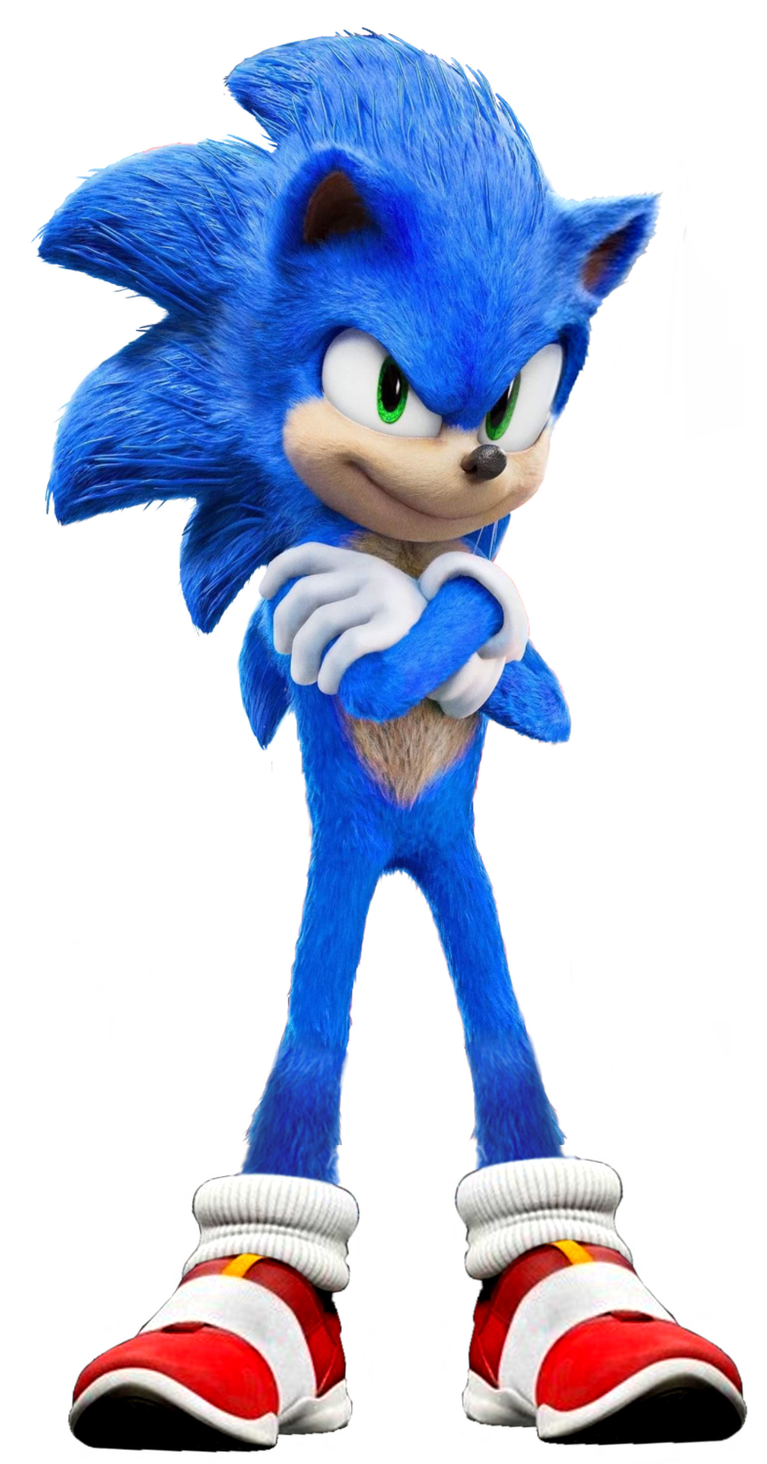 Sonic the Hedgehog PNG transparent image download, size: 1538x2933px