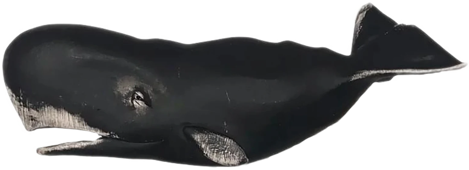 Sperm whale PNG image