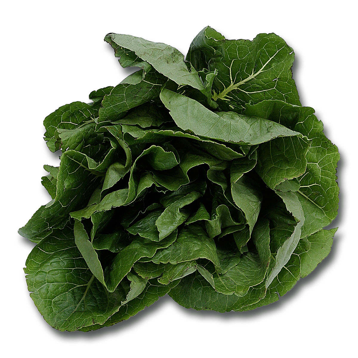 spinach-png