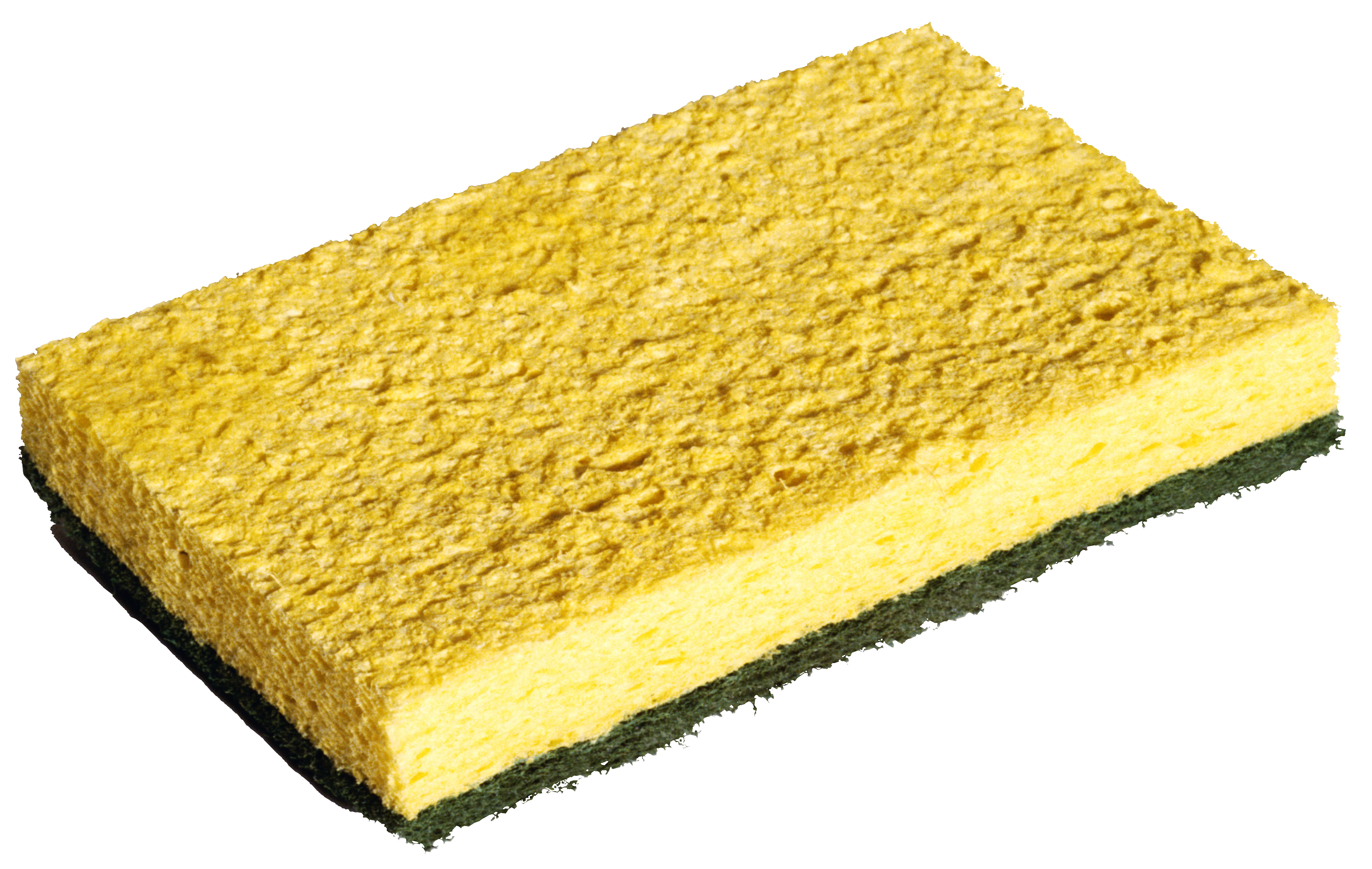 Sponge. Губка без фона. Губки для фотошопа на прозрачном фоне. Губки на бесцветном фоне. Губка картинка для детей на прозрачном фоне.