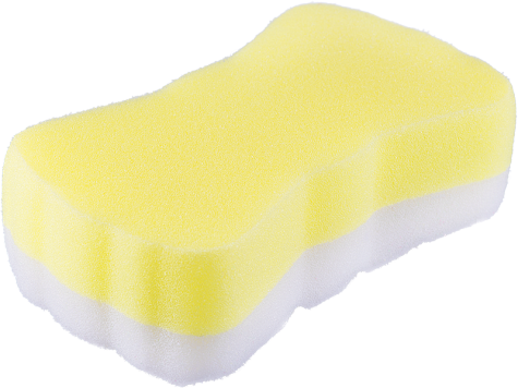 Sponge bath PNG