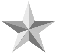 gray star PNG image