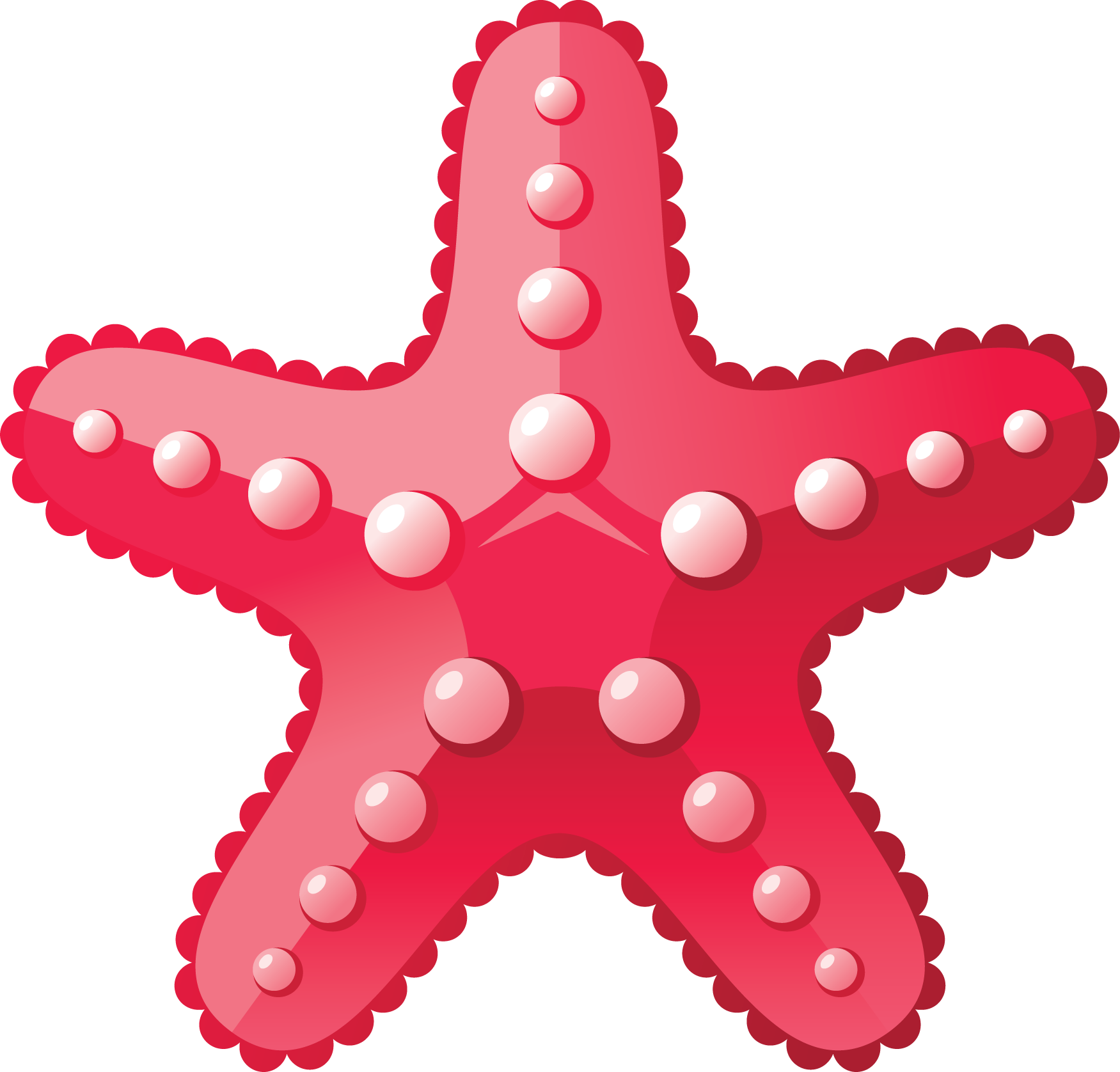 Starfish Png Transparent Image Download Size 1751x1676px