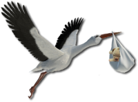 stork baby PNG